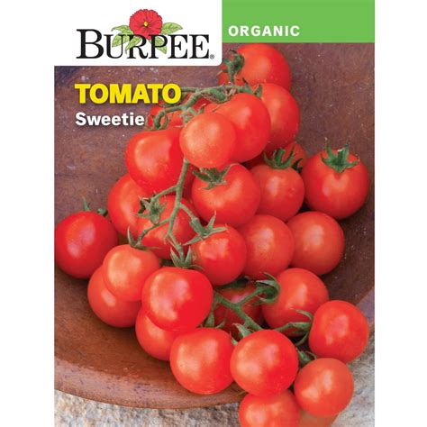Burpee Organic Sweetie Tomato Vegetable Seed 1 Pack