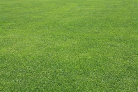 N001 Plain Grass Field By Mango Stock On Deviantart