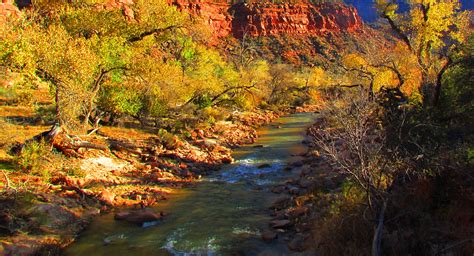 Without further ado, let's find out virgin river filming location. Zion National Park | Fall colors along the Virgin River ...