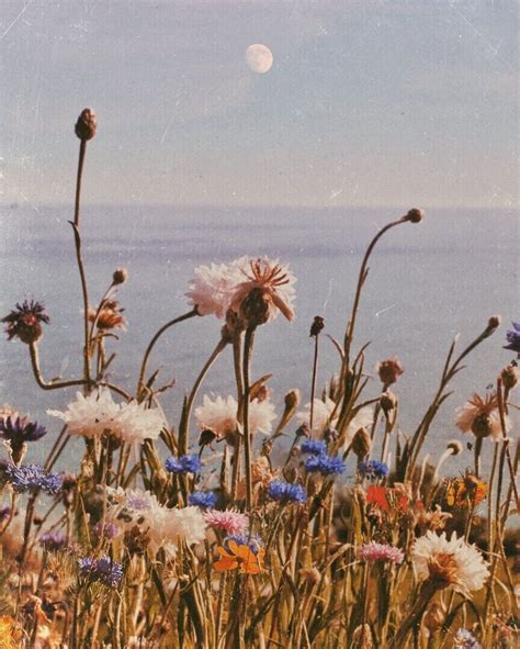 Find over 100+ of the best free big flowers images. Big Sur Luna — a map of dreams | Flowers, Art, Flower power
