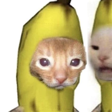 Cat Banana Matching Pfp