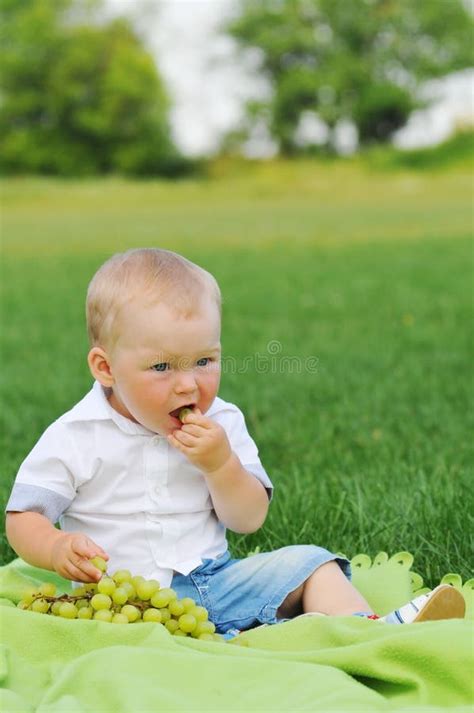 Little Boy Eats Grapes Stock Image Image Of Grass Grapes 43867245