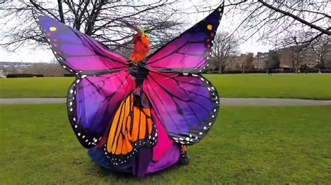 Social Butterfly Youtube