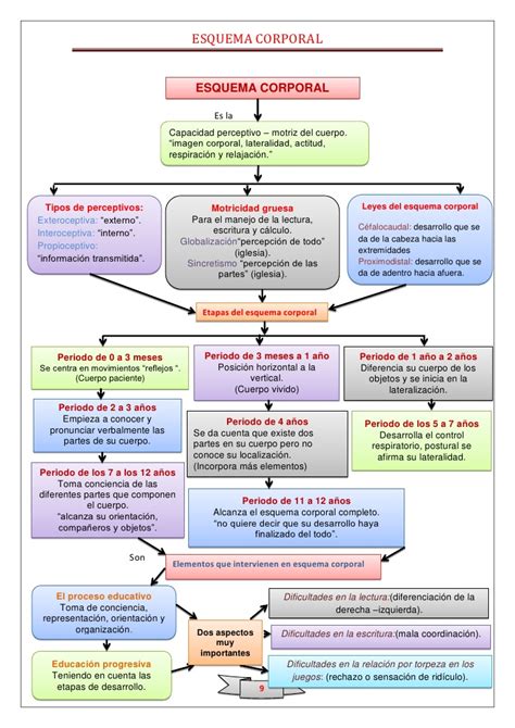 Esquema corporal.— transcripción de la presentación 2 esquema corporal es el conocimiento inmediato y continuo que nosotros tenemos de nuestro cuerpo en. Esquema corporal