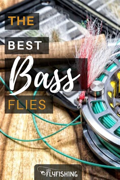 Best Bass Flies A Guide To Productive Bass Patterns Into Fly Fishing