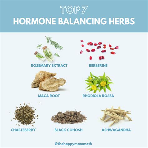 Pin On Hormone Balancing Tips Recipes