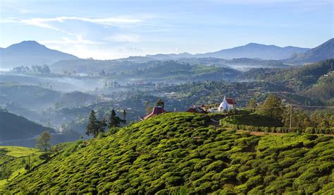 Nuwara Eliya Safaris With Africa Travel Resource