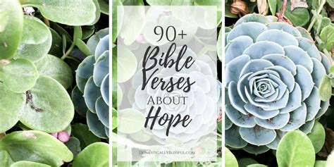 Bible Verses About Hope Domestically Blissful