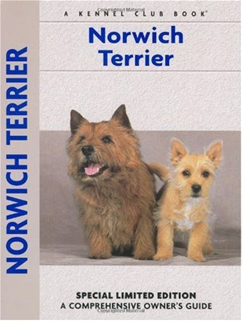 Mom and dad are akc registered. NORWICH TERRIER PUPPIES FOR SALE | Norwich Terrier Puppies ...