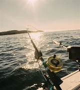 Pictures of Bc Ocean Fishing License
