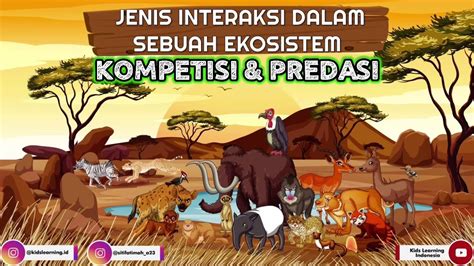 Interaksi Makhluk Hidup Dalam Sebuah Ekosistem Kompetisi Predasi