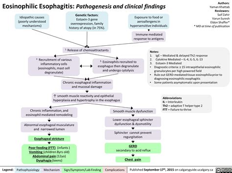Eosinophilic Esophagitis Pathogenesis And Clinical Findings Calgary