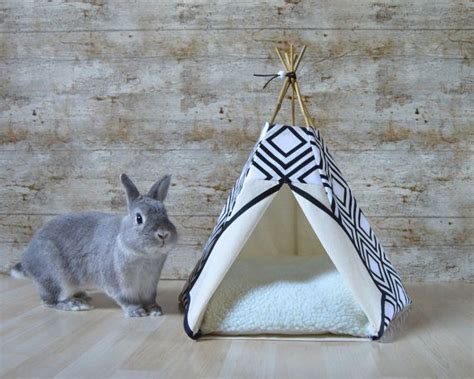 10 Best Rabbit Tents And Hideaway Mypetcarejoy