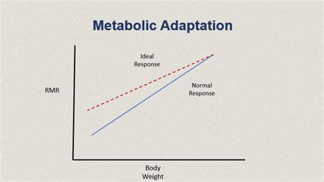 Metabolic Adaptation Part I The Size Of The Calorie Deficit