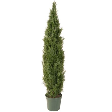 Maybe you would like to learn more about one of these? National Tree Company 72 in. Artificial Arborvitae Tree in ...