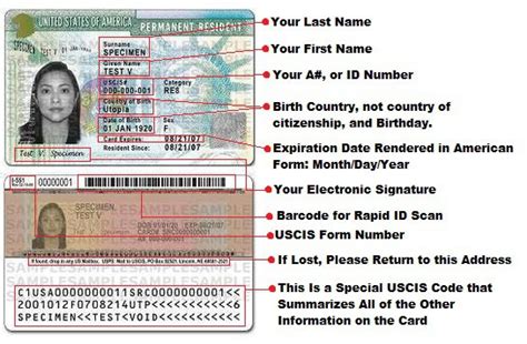 Citizenship and immigration services (uscis) redesigned their permanent resident card (green card) in 2017. Из России в Америку Как получить грин карту в США?