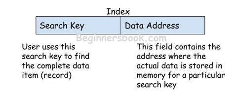 Indexing In Dbms Types Of Indexes In Database