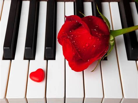 love romantic piano harrert roses wallpaper 2560x1920 477981 wallpaperup
