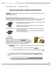 14 best images of photosynthesis worksheets with answer key. Rainfall And Bird Beaks Gizmo Answer Key - Free Photos