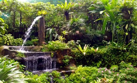 Things to do near kuala lumpur butterfly park. KL Butterfly Park - HolidayGoGoGo