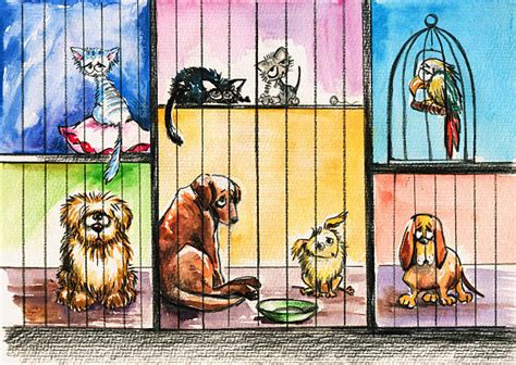 Best Animal Shelter Volunteer Clip Art Full Temal