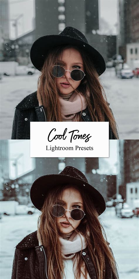 Mobile Lightroom Presets Cool Tones Winter Presets Lightroom Presets