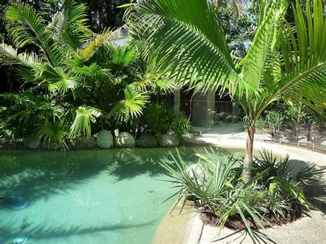 Tropical Garden Design | Tropical garden design, Tropical landscape design, Tropical landscaping