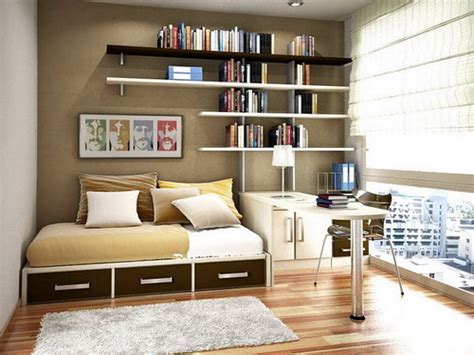 2024 Popular Study Bookshelves