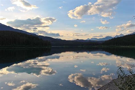 Patricia Lake Lake Dusk Forest Reflection Water National Scene