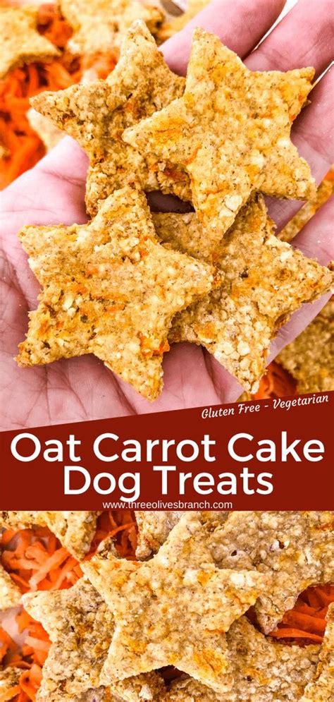 Oat Carrot Cake Dog Treats Three Olives Branch Healthy Dog Treats