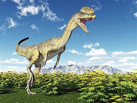 The Dilophosaurus Extinct Animals Of The World Worldatlas
