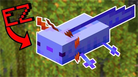 Get The Rare Blue Axolotl Easy Ultimate Axolotl Guide Minecraft 120