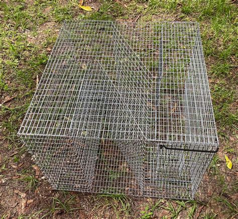 Z Bait Fish Trap Oversized 18 Inch Version Reel Texas Outdoors