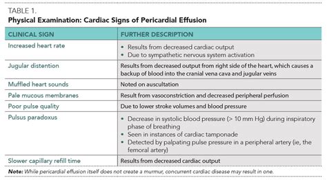Pericardial Effusion Causes Symptoms Diagnosis And Treatment