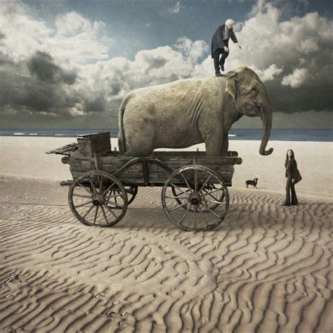 Pin By Chandu On Animals Fantasy Surreal Photo Manipulation Elephant