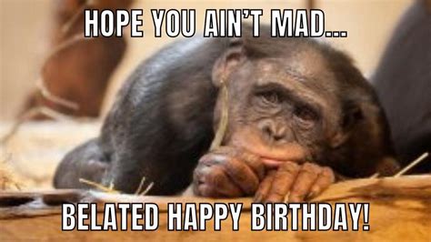 50 Funny Happy Belated Birthday Memes For Everyone