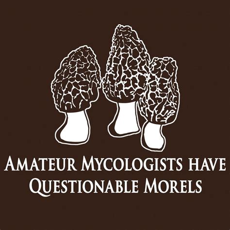 Mycology Is The Branch Of Biology Concerned With The Study Of Fungi