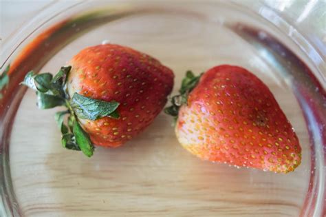 Tested The Best Way To Keep Strawberries Fresh Food