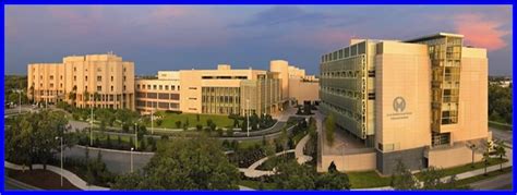 H Lee Moffitt Cancer Center And Research Institute Society Of