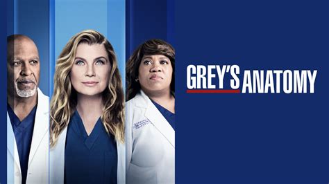 Watch Grey S Anatomy Season 19 Full Episodes Online Plex