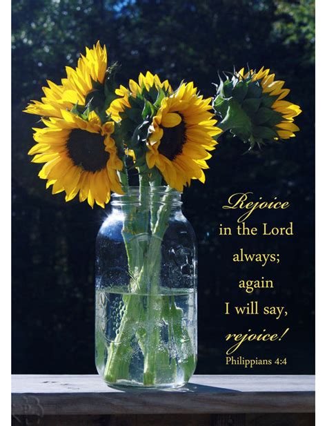 Sunflower Decor Philippians 4 4 Rejoice In The Lord Christian Aftcra