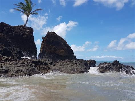 The Best Naturist Beach In Brazil Review Of Praia De Tambaba Conde