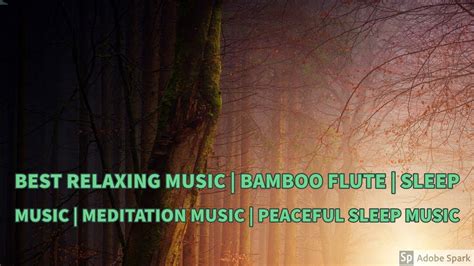 best relaxing music bamboo flute sleep music meditation music peaceful sleep music youtube