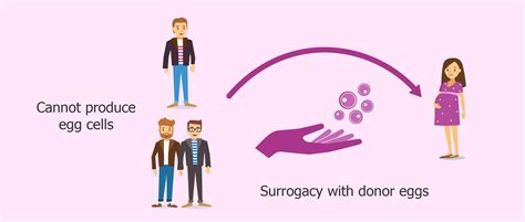 Gestational Surrogacy Definition Examples And Forms