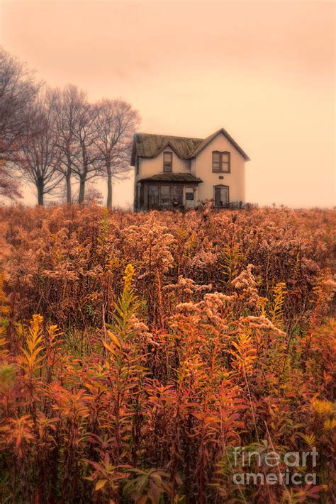 Old House In Weeds Photograph By Jill Battaglia Fine Art America