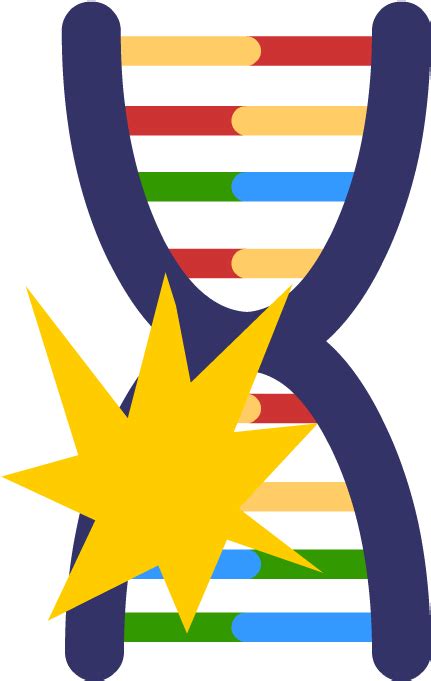 Download Genetic Mutations Genetic Mutation Png Clipart 145001