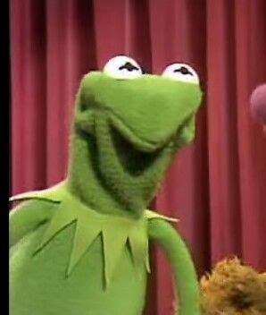 Kermit Scrunch Face Mysweetdreamstory