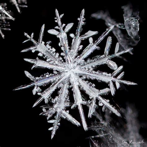 Snowflake Photo 12 Sided Star Don Komarechka Photography