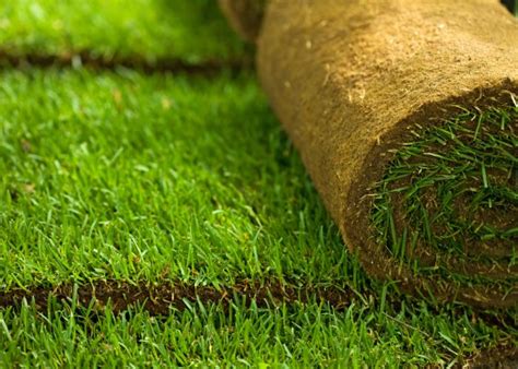 Check spelling or type a new query. Lawn Care in Boston, MA | Sod Installation, Mowing, Hydroseeding