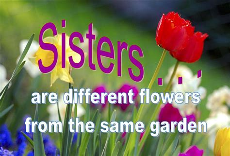 Sisters Are Different Flowers From The Same Garden Different